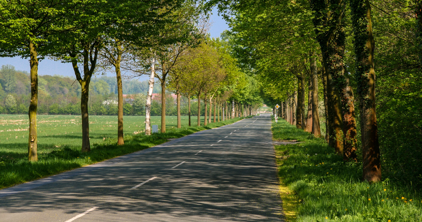Allee in Diestedde